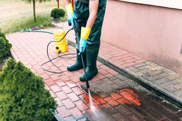 Best Playground Equipment Cleaning  in West Point, MS